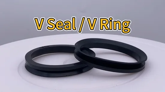 China High Quality NBR/FKM/Si /EPDM V Ring for Machine