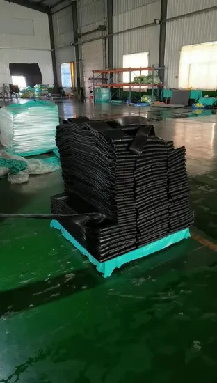 Metal Reinforced Protection EPDM Door Rubber Seal for Auto Parts 