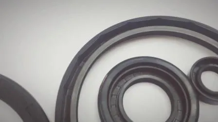 NBR silicone EPDM HNBR buna tc sc oil seal 