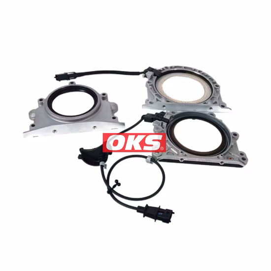 Oil Seal China Factory Brown FKM O
